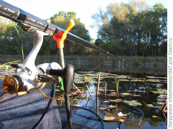 Ловись большая и прибольшая...