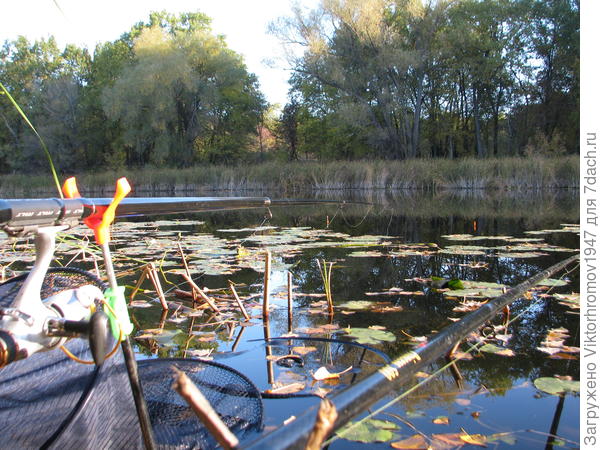 Ну рыбка держись...