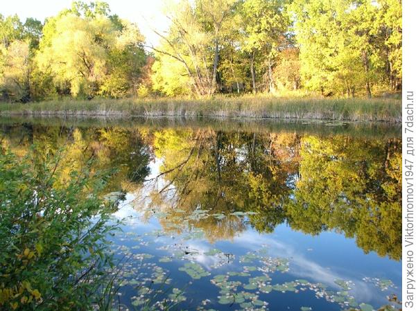 Роща золотая.