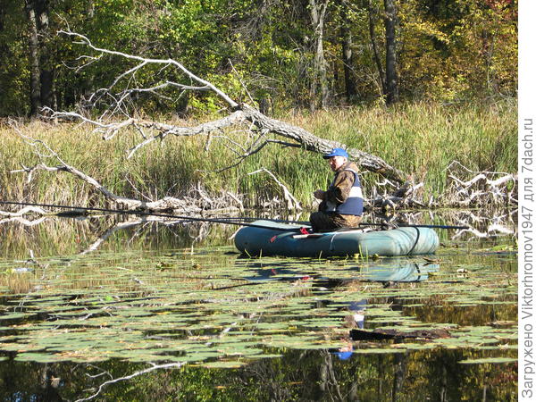 где то здесь, вчера...клевала...