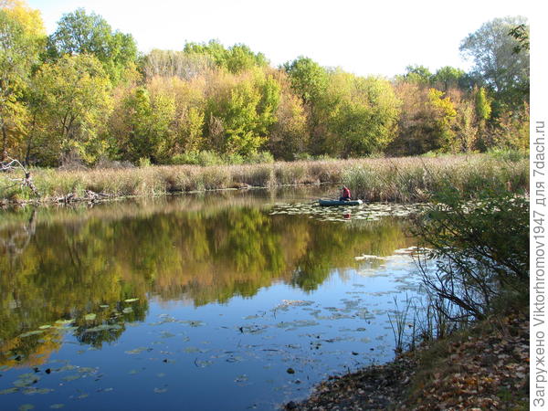 Осень украсила и берега.