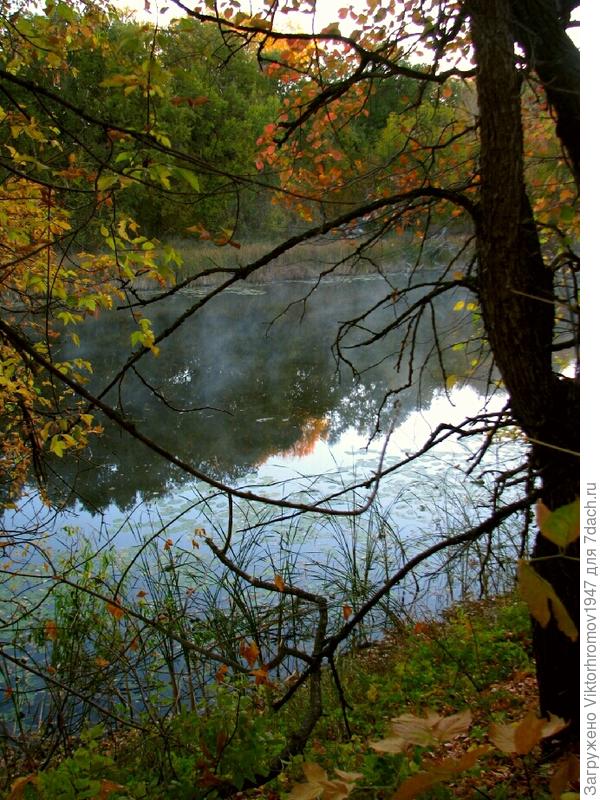 Пока клёва нет...