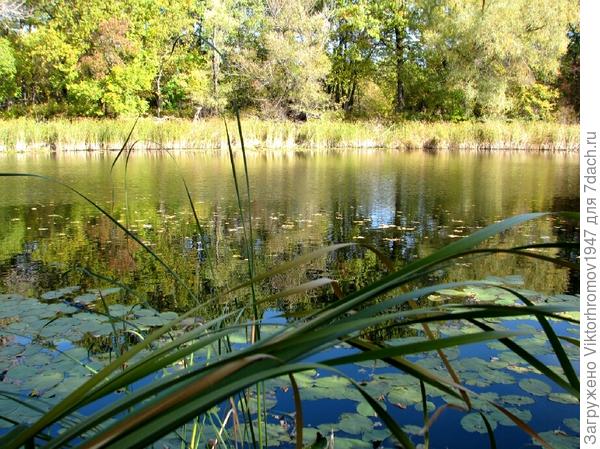 Это озёра в окресностях Оренбурга.