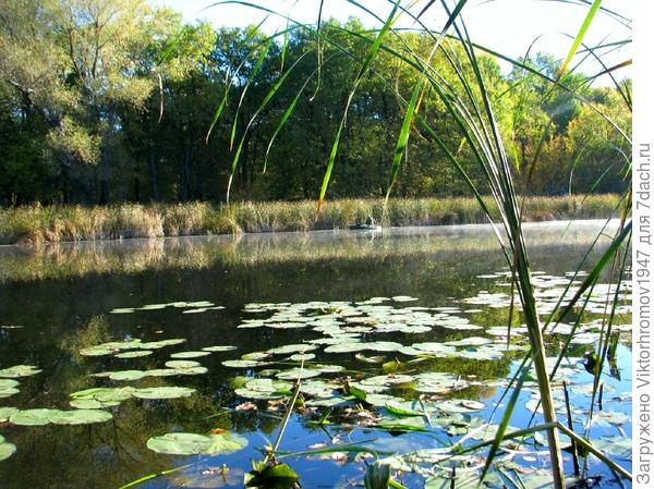 Решил прогуляться...