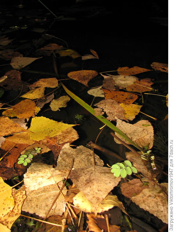 и холодные.