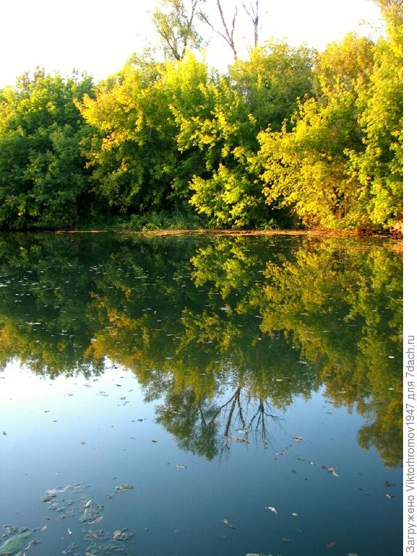 Строгая красота.