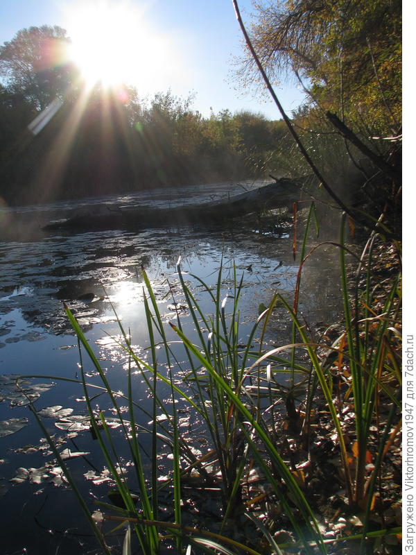 Утро раннее...
