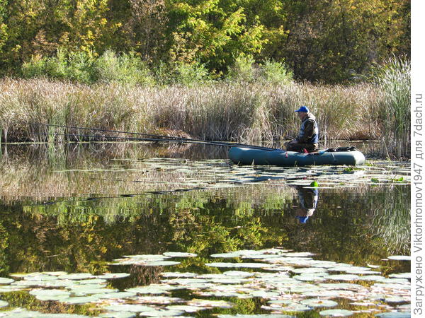 А мы Рады и Наслаждаемся отдыхом на живительной осенней природе!
