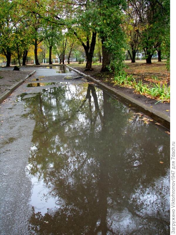 ПРОГУЛКА В ПАРКЕ ПОСЛЕ ДОЖДЯ