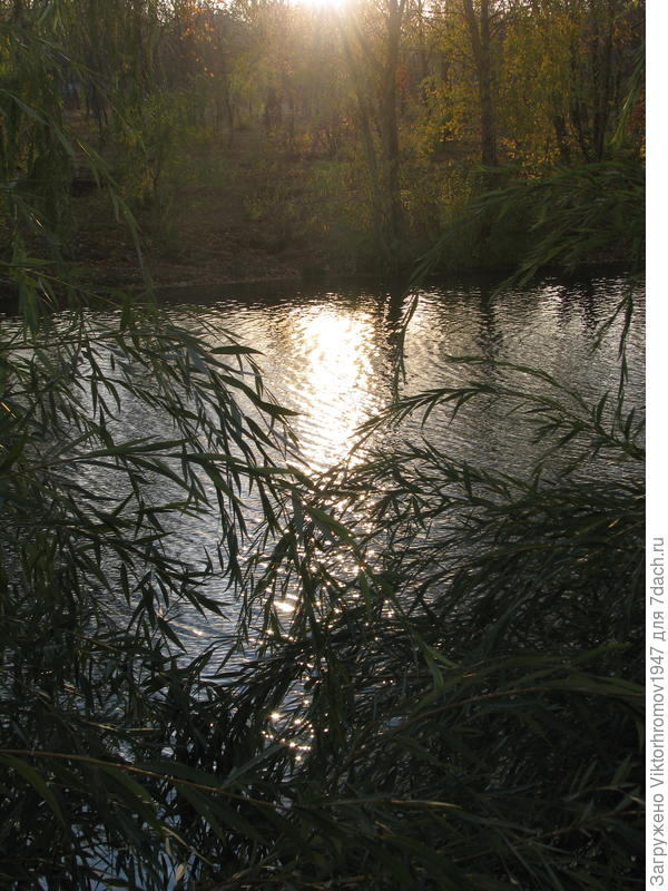 Любопытное солнышко