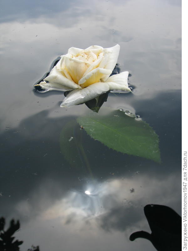 осенний вечер...