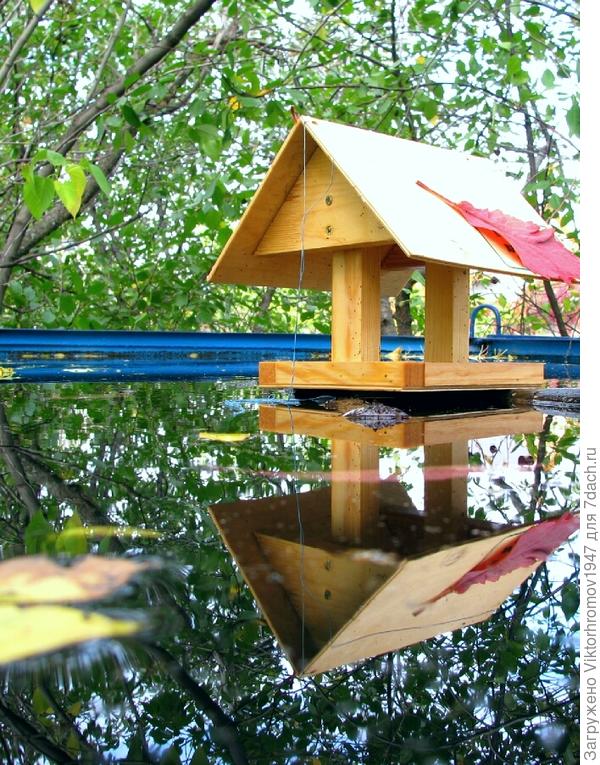 Водоплавающая кормушка для птичек.