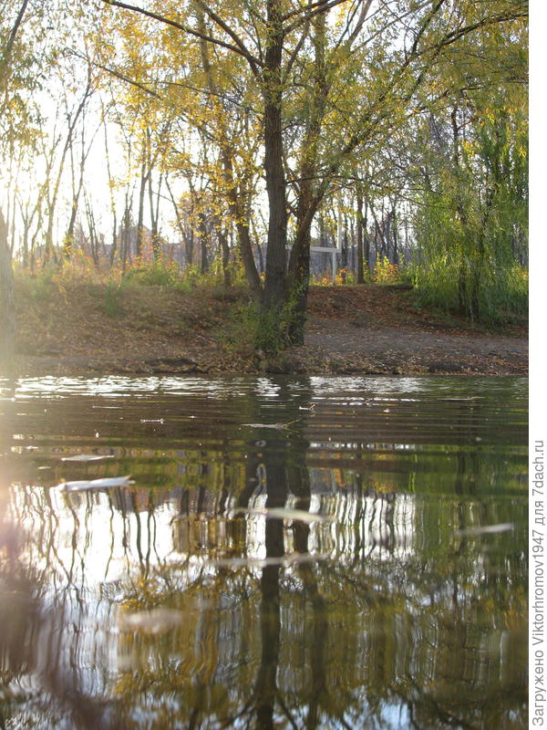 Осенний берег...