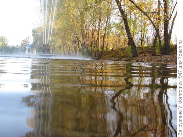 Зигзаг удачи