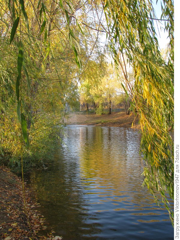 Любимый уголок в парке.