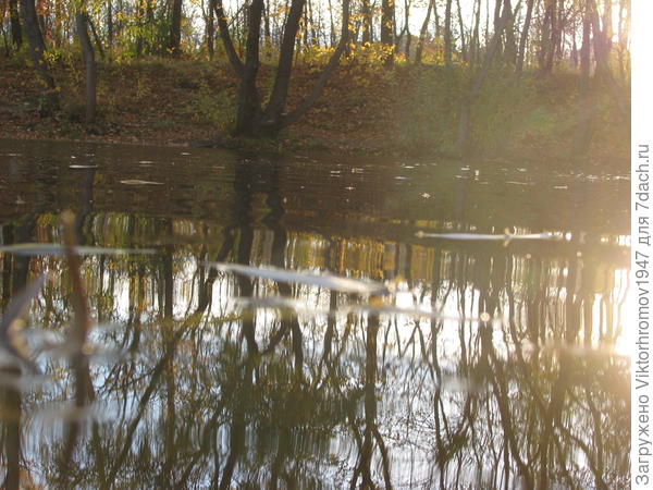 Вечерний закат...