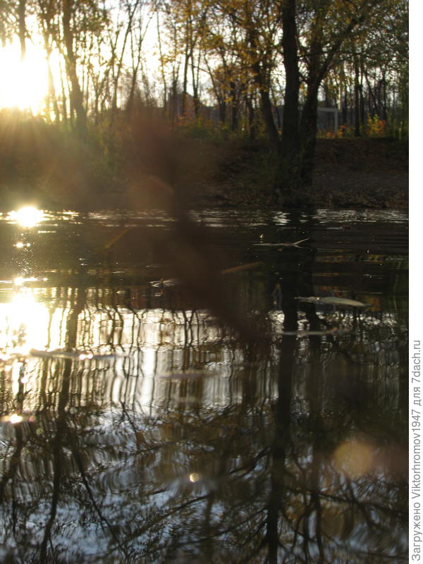 ЗАКАТ СОЛНЫШКА