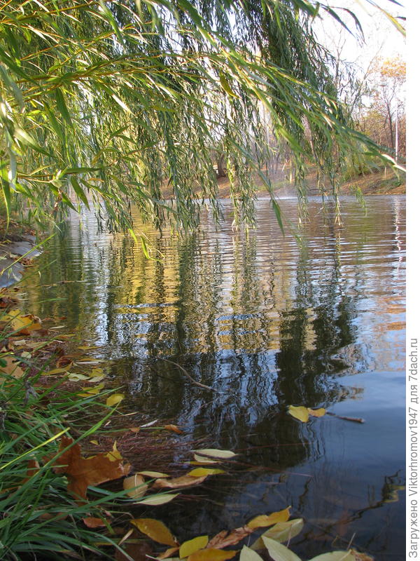 Как прекрасен этот миг!...