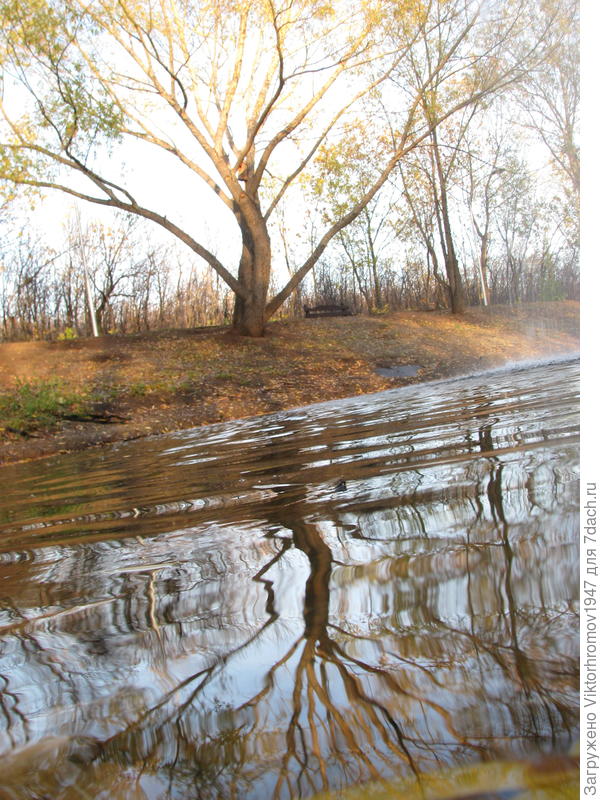 &quot;Спрут&quot;