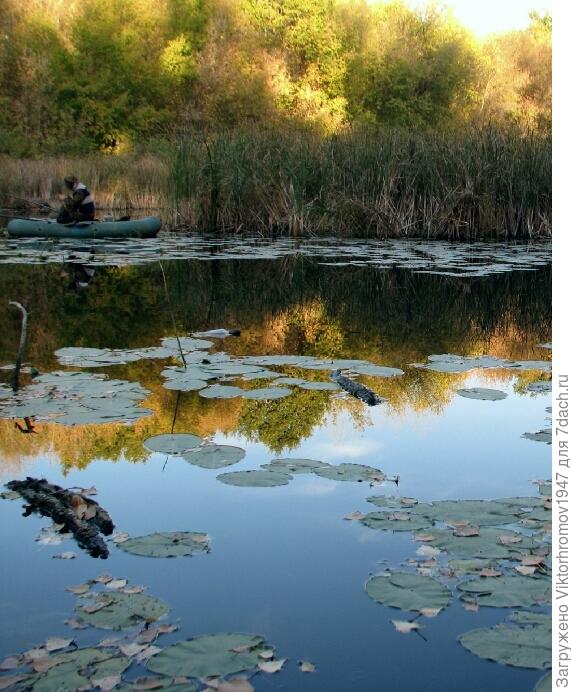 Водяное зеркало.