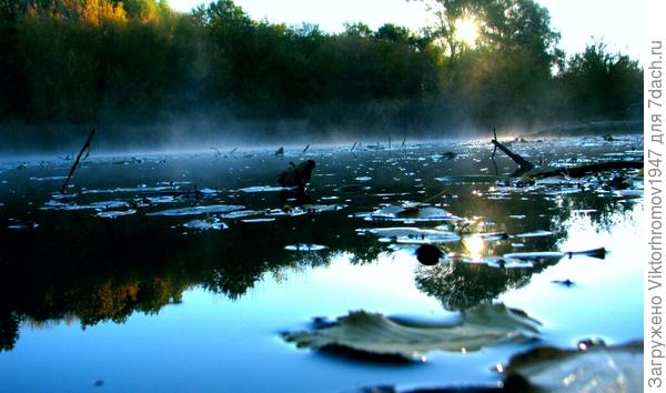 Голубой туман...