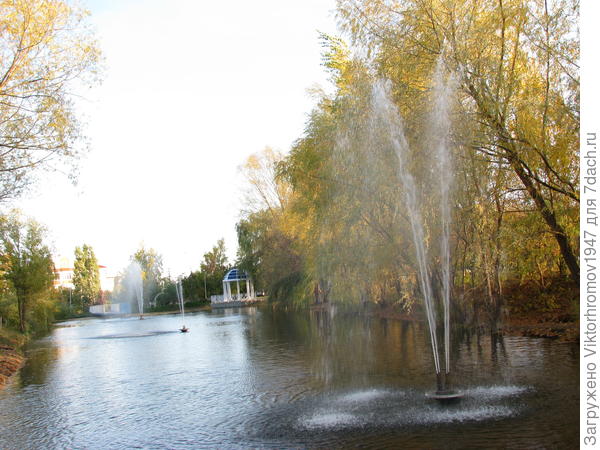 Любим мы вечерами здесь прогуливаться