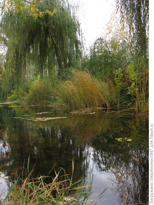 А наяву ещё красивее!