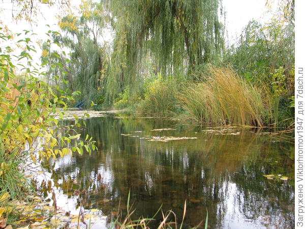 Лучший художник это сама ПРИРОДА!