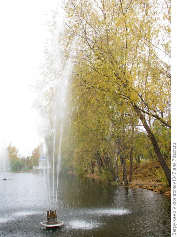 Фонтан приятно освежает и очищает воздух.