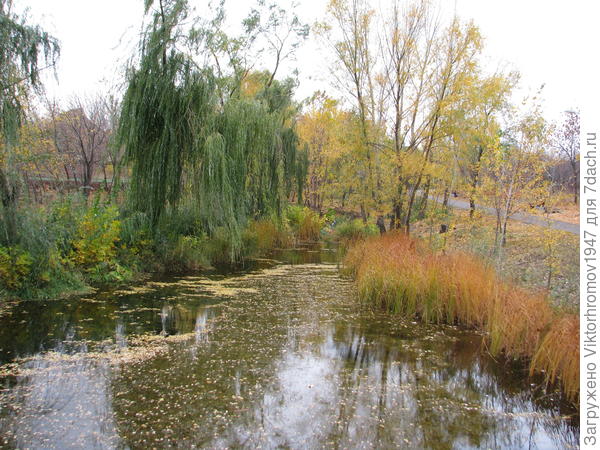 Дальний, тихий уголок!