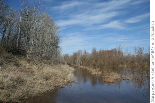 Туманный вечер