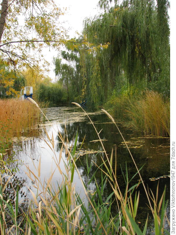 Любимое место отдыха!