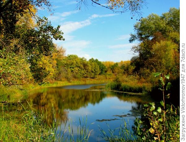 В лесной чаще Осенью встречаются прекрасные и богатые рыбой водоёмы.