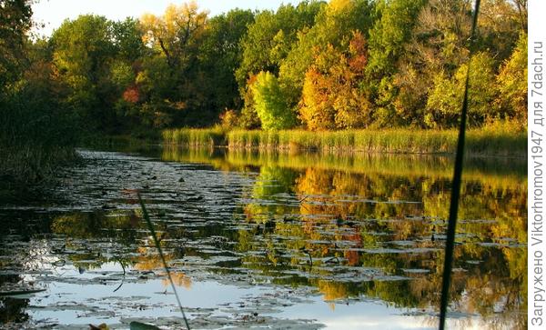 Осень плавает по речке оставляя красивые следы!