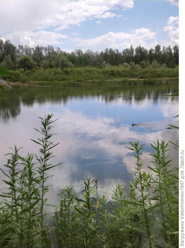 Красивый денёк середины Октября.