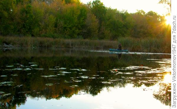 Водная поверхность покрылась красивыми листочками, как блёстками...