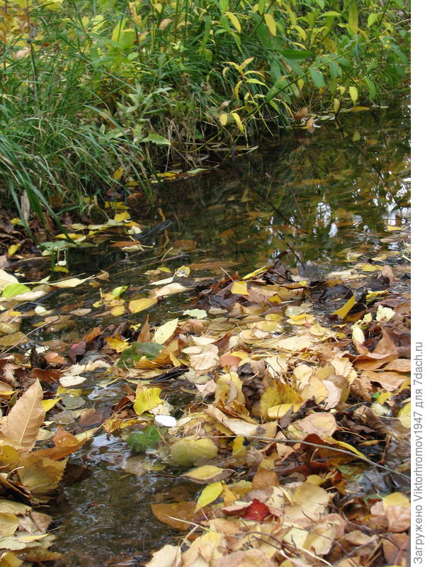 Это РОДНИК! Так начинается РЕКА.