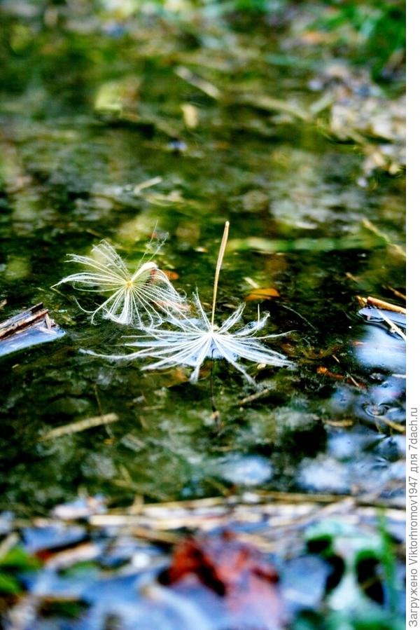 Не удачно приземлился.