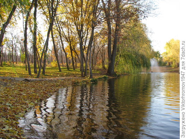 Осенний сказочный вечер!