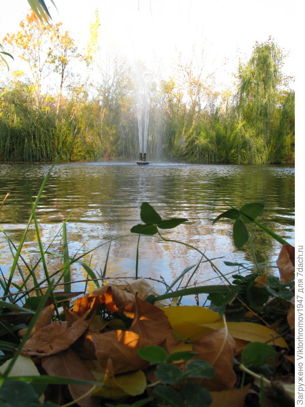 Осенняя сказкаОктября