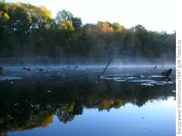 Как красивы утренние туманные зори!