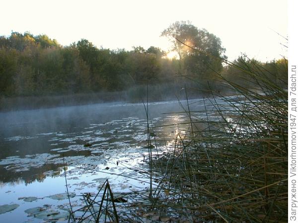 Раннее утро на озере.