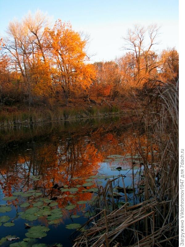 Четверг рыбный день...