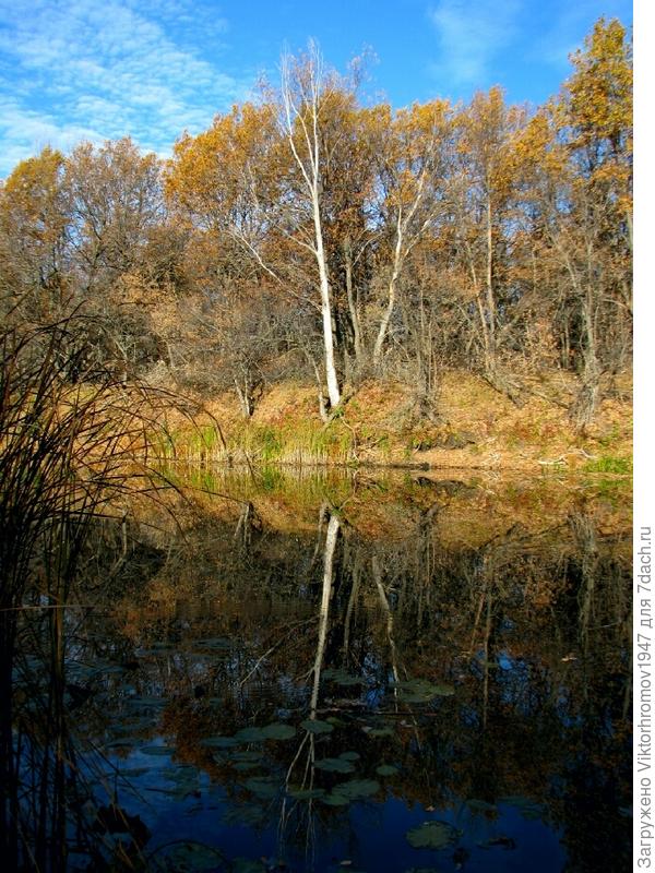 Рано утром были уже на водоёме