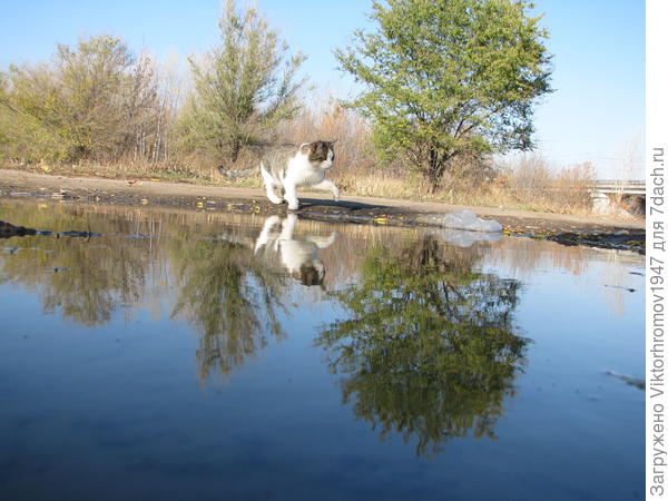 Ах! Да...Это Я...