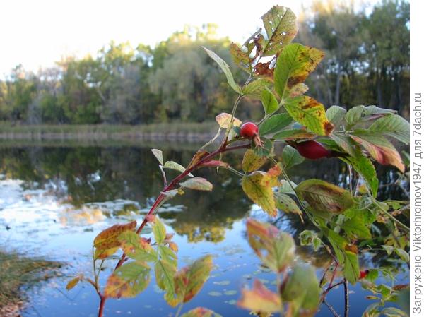 Хоть и клюёт плохо, а прощаться жалко!