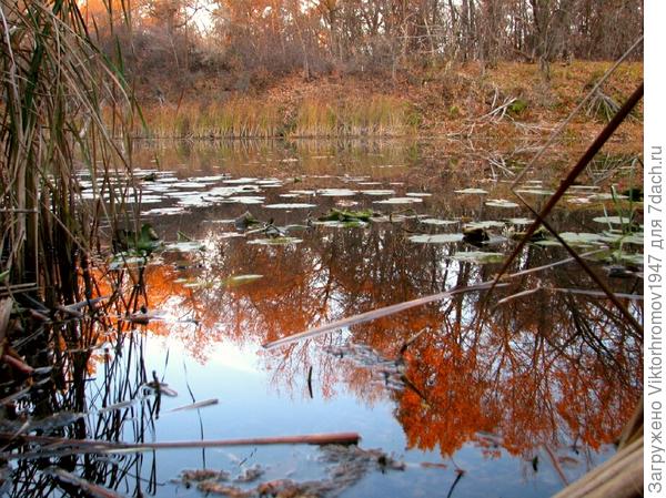 Надежда на поклёвку...