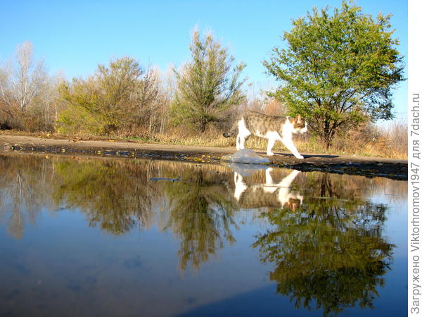 Пойду дальше!