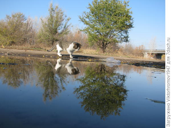 Ух ты! Кто это там...