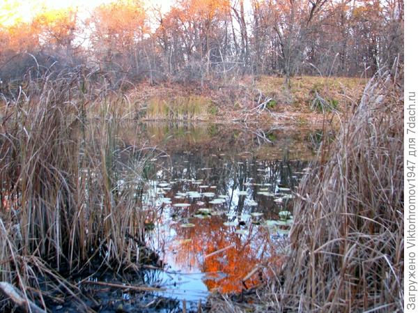 Надежда погасла... но на противоположной стороне пойдём проверим наличие грибов.
